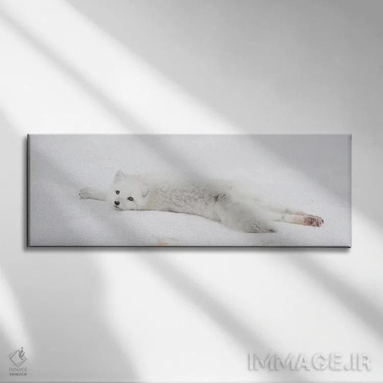تابلو شامپانزه قطبی کانادا ۳ اثر میگل لاسا - نمای روبهرو روی دیوار