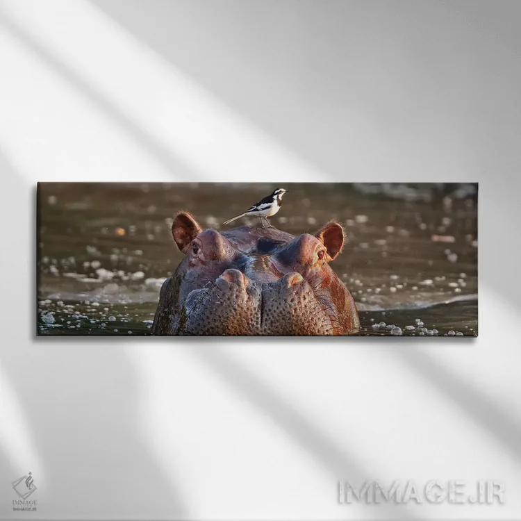 تابلو اثر میگل لاسا - نمای روبهرو روی دیوار