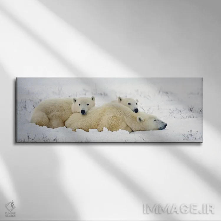 تابلو خرسهای قطبی کانادا ۱۰ اثر میگل لاسا - نمای روبهرو روی دیوار
