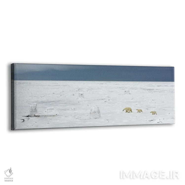 تابلو اثر میگل لاسا - نمای پرسپکتیو محصول