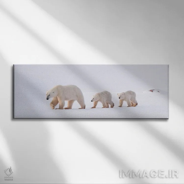 تابلو خرسهای قطبی کانادا ۴۵ اثر میگل لاسا - نمای روبهرو روی دیوار