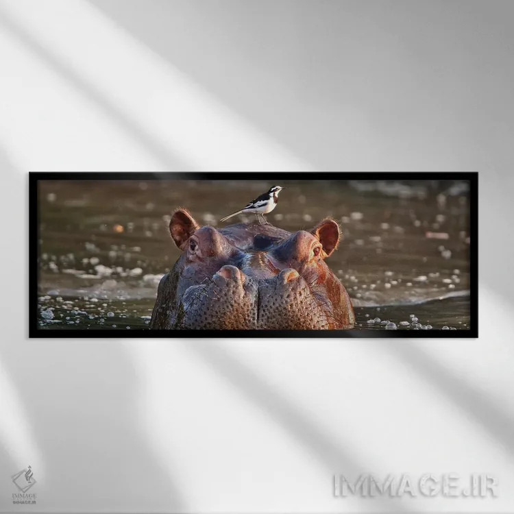 تابلو اثر میگل لاسا - نمای قابدار مشکی