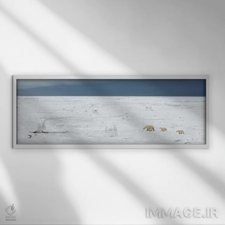 تابلو اثر میگل لاسا - نمای قابدار سفید