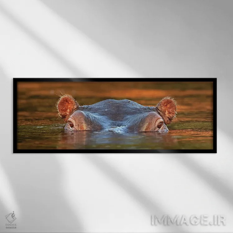 تابلو اثر میگل لاسا - نمای قابدار مشکی