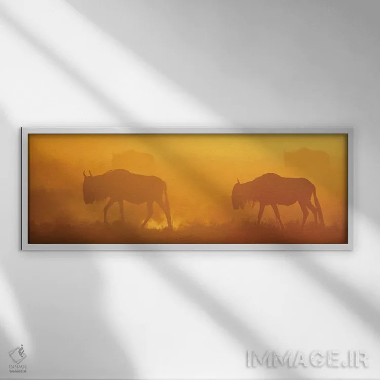 تابلو اثر میگل لاسا - نمای قابدار سفید