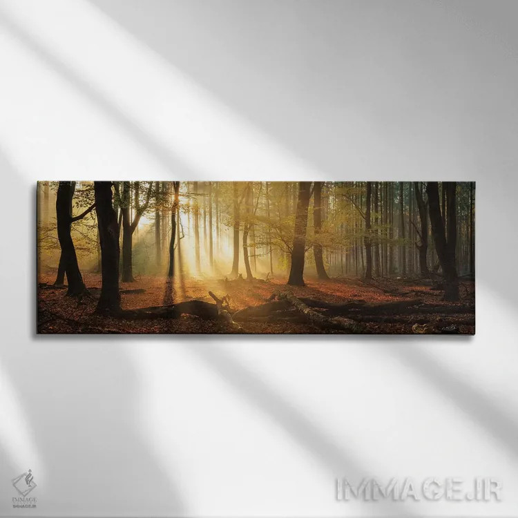 تابلو چشمانداز Speulderbos (جنگلی در هلند) اثر مارتین پودت - نمای روبهرو روی دیوار