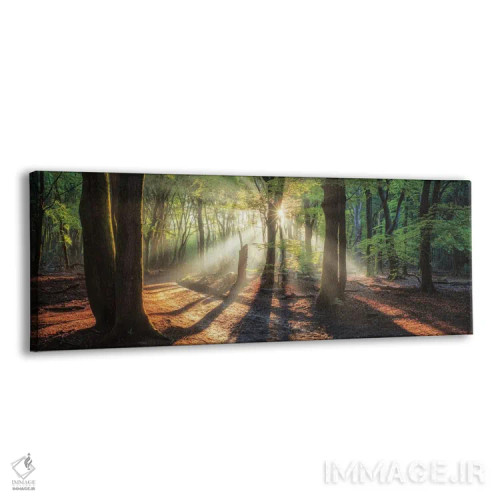 تابلو پرتوهای خورشید در جنگل ۱ اثر مارتین پودت - نمای پرسپکتیو محصول