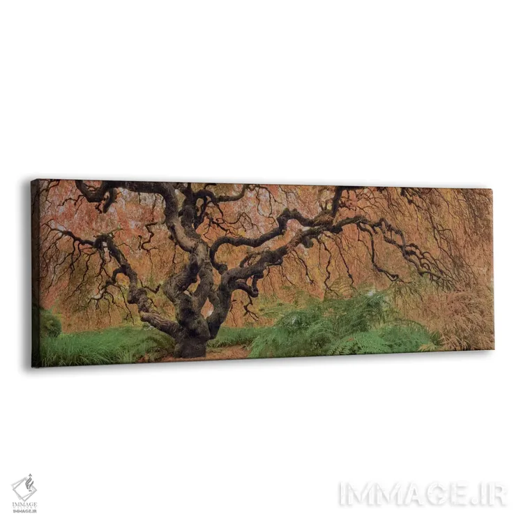 تابلو افرا کهن رنگی اثر موایسس لوی - نمای پرسپکتیو محصول