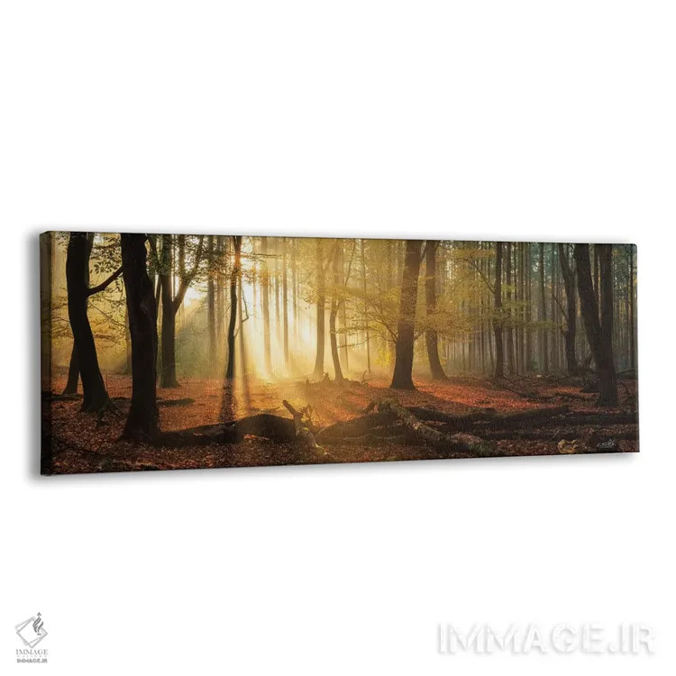 تابلو چشمانداز Speulderbos (جنگلی در هلند) اثر مارتین پودت - نمای پرسپکتیو محصول