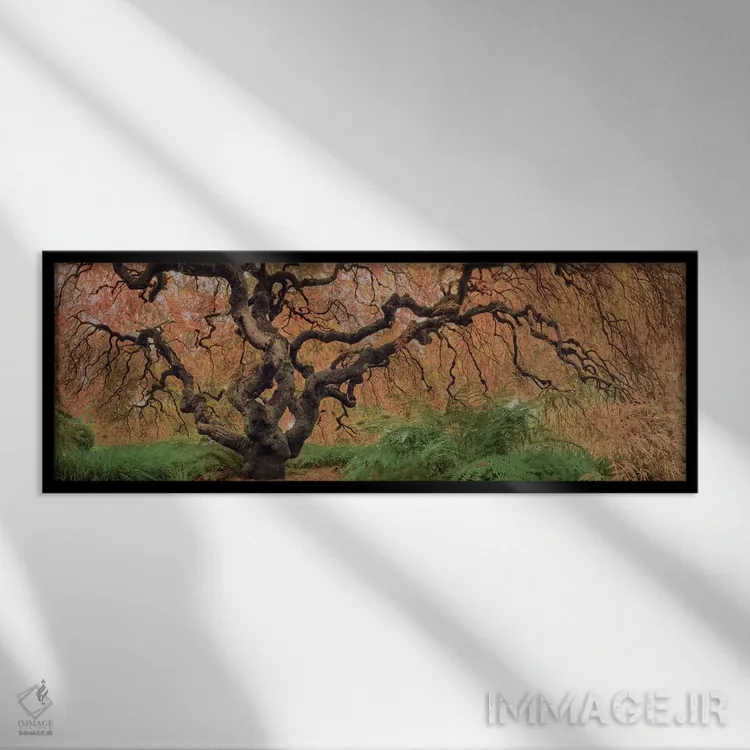 تابلو افرا کهن رنگی اثر موایسس لوی - نمای قابدار مشکی