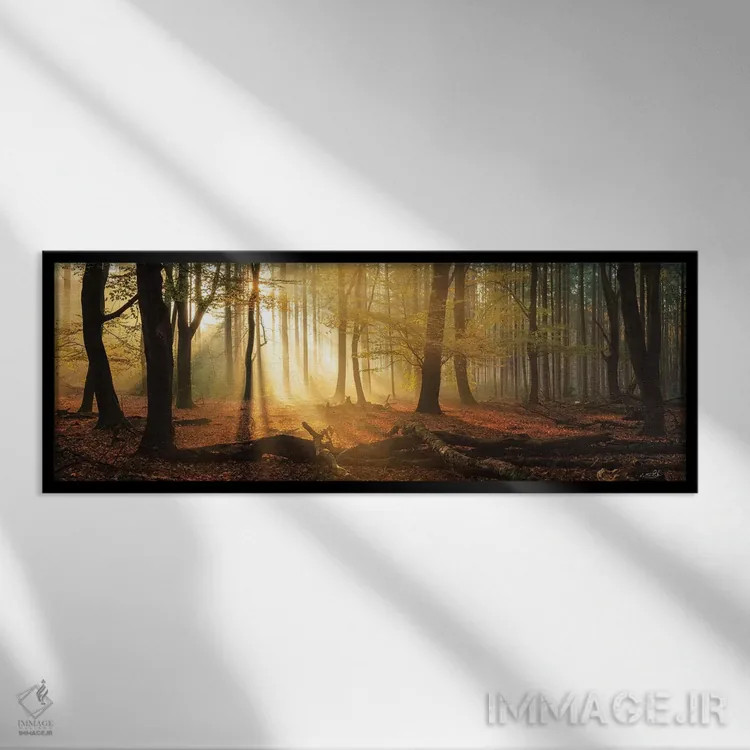 تابلو چشمانداز Speulderbos (جنگلی در هلند) اثر مارتین پودت - نمای قابدار مشکی
