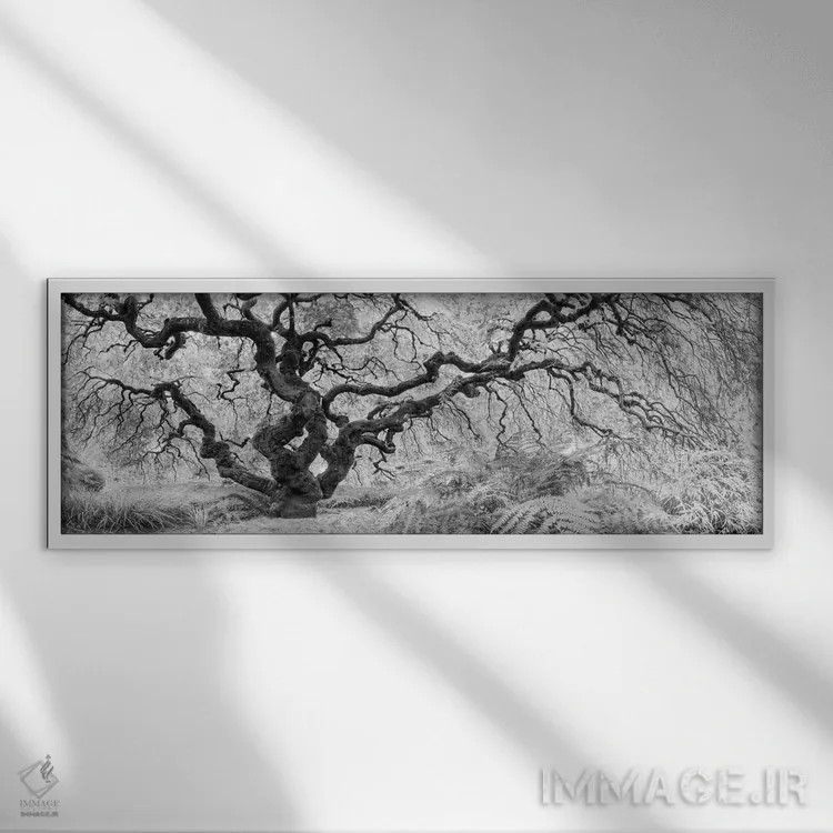 تابلو افرا کهن اثر موایسس لوی - نمای قابدار سفید
