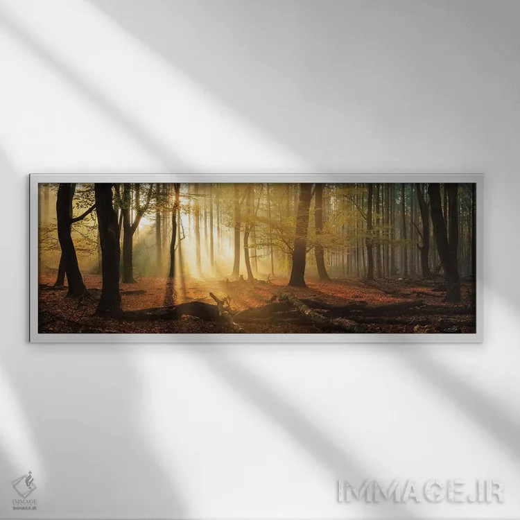 تابلو چشمانداز Speulderbos (جنگلی در هلند) اثر مارتین پودت - نمای قابدار سفید