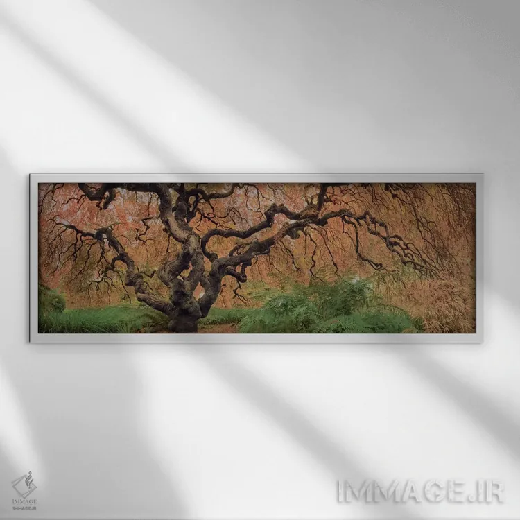 تابلو افرا کهن رنگی اثر موایسس لوی - نمای قابدار سفید