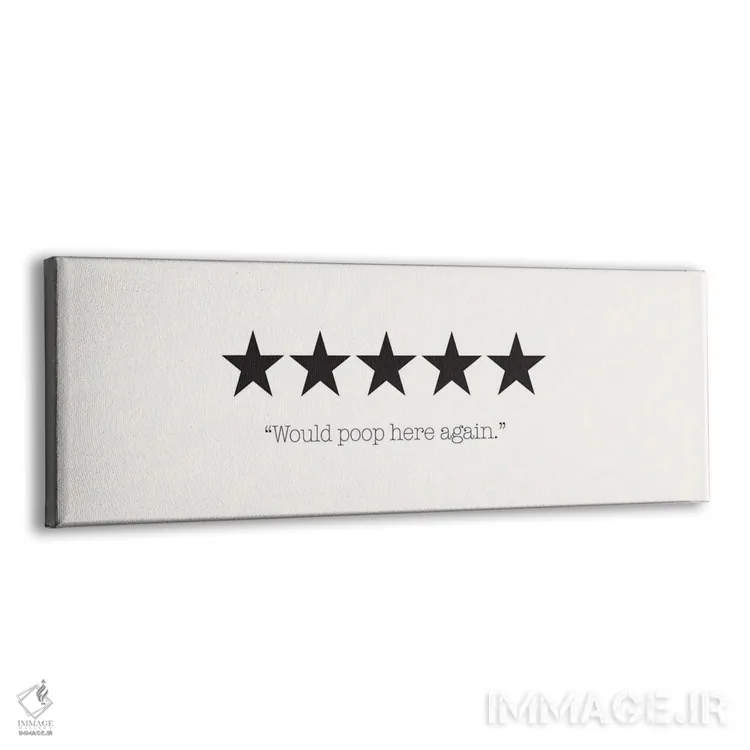 تابلو دوباره اینجا دستشویی میکنم (شوخی طنز) اثر نیکول باسک - نمای پرسپکتیو محصول