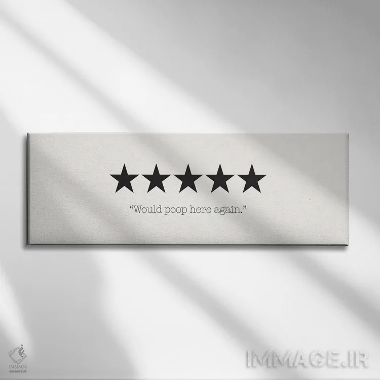 تابلو دوباره اینجا دستشویی میکنم (شوخی طنز) اثر نیکول باسک - نمای روبهرو روی دیوار