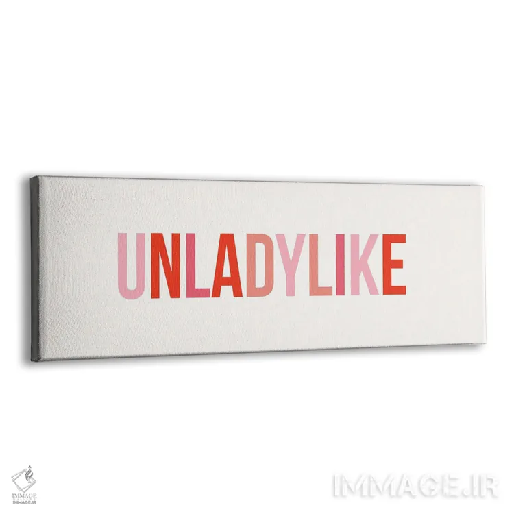 تابلو غیرزنانه (خارج از انتظارات سنتی زنان) اثر نیکول باسک - نمای پرسپکتیو محصول