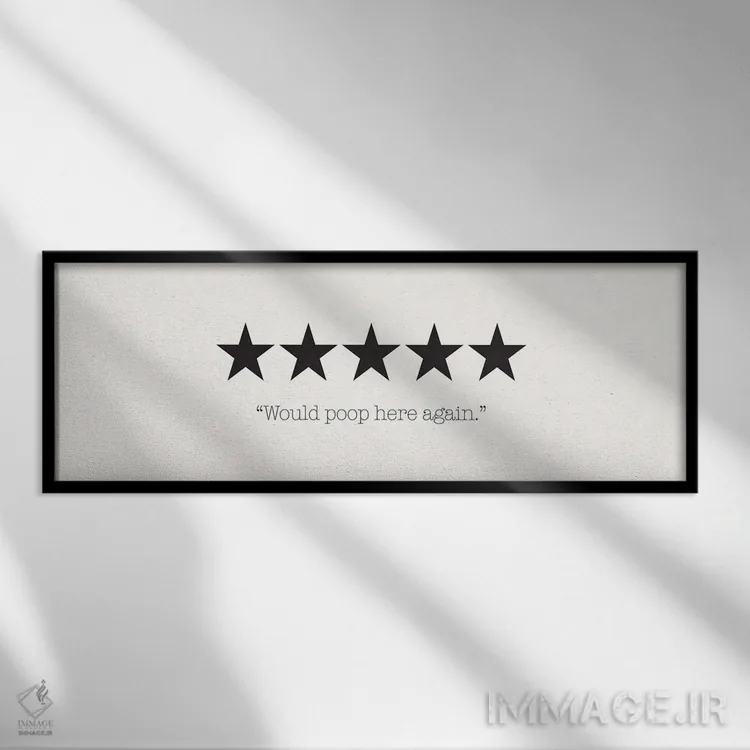 تابلو دوباره اینجا دستشویی میکنم (شوخی طنز) اثر نیکول باسک - نمای قابدار مشکی