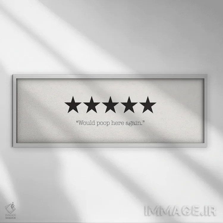 تابلو دوباره اینجا دستشویی میکنم (شوخی طنز) اثر نیکول باسک - نمای قابدار سفید