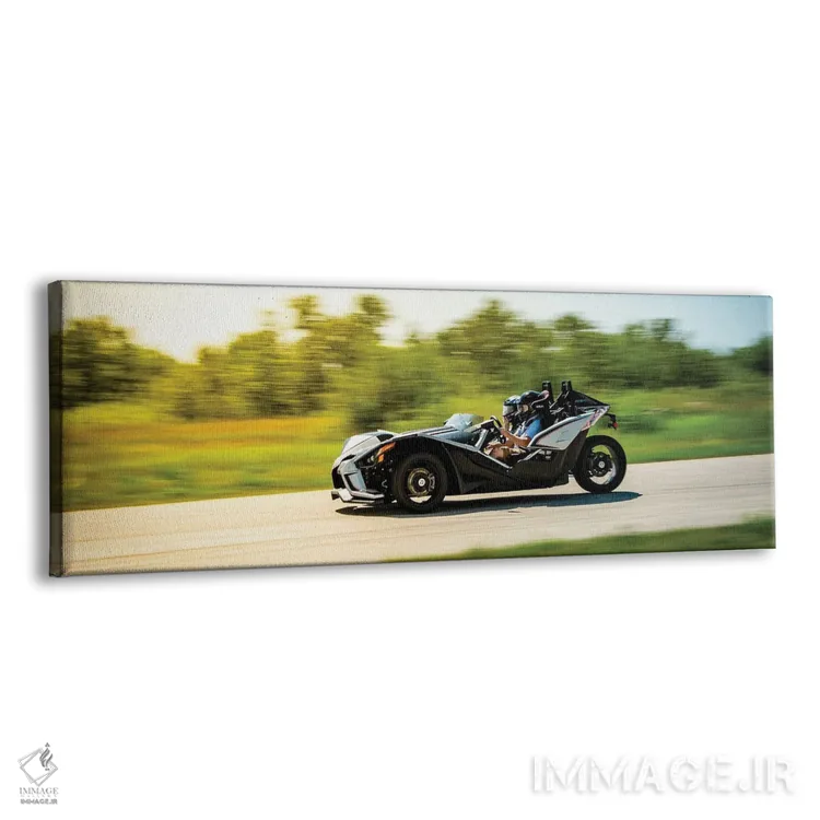 تابلو پولاریس اسلینگشات مشکی در حال حرکت در پیست اثر نیک ریو - نمای پرسپکتیو محصول