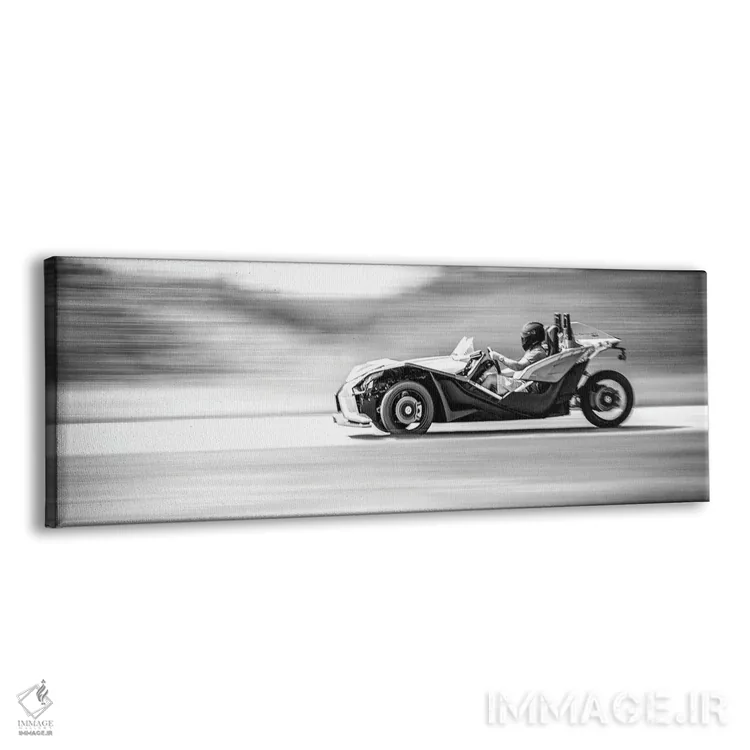 تابلو پولاریس اسلینگشات در حال حرکت در پیست اثر نیک ریو - نمای پرسپکتیو محصول