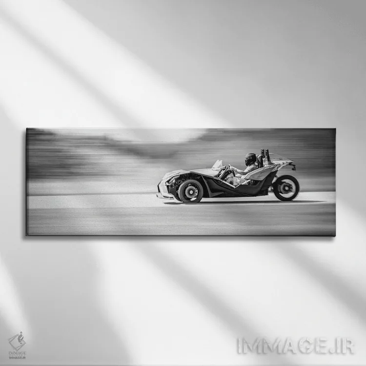 تابلو پولاریس اسلینگشات در حال حرکت در پیست اثر نیک ریو - نمای روبهرو روی دیوار