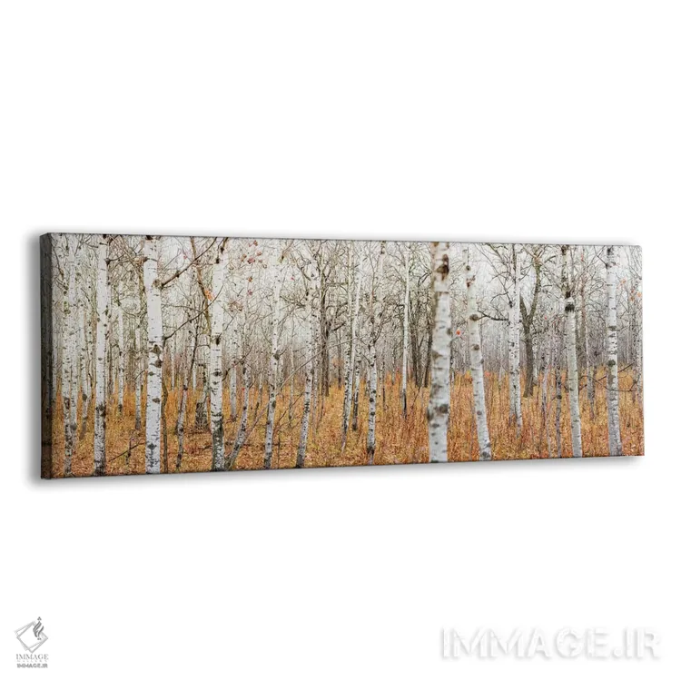 تابلو چشمانداز گسترده بیشه توس اثر نیک ریو - نمای پرسپکتیو محصول