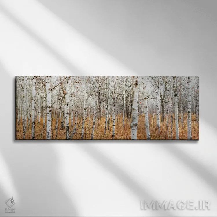 تابلو چشمانداز گسترده بیشه توس اثر نیک ریو - نمای روبهرو روی دیوار