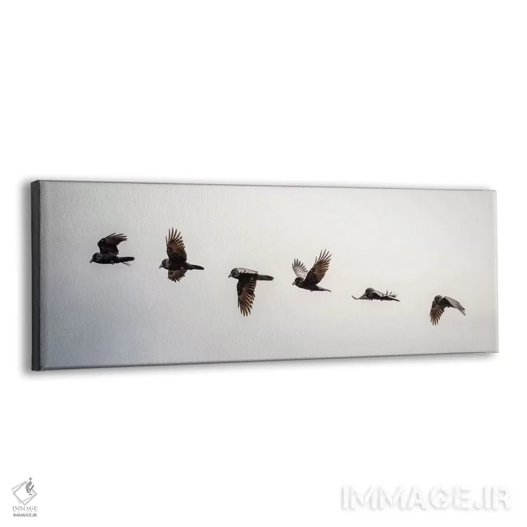 تابلو تعادل: عکاسی متوالی از زاغ پرنده اثر نیک ریو - نمای پرسپکتیو محصول