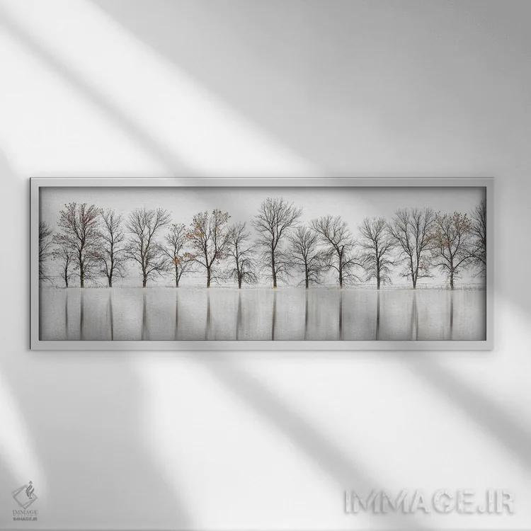 تابلو سایههای زنده: روشن اثر نیک ریو - نمای قابدار سفید