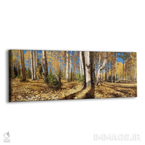 تابلو رنگهای بهاری اثر اولنا آرت (استودیو هنری) - نمای پرسپکتیو محصول