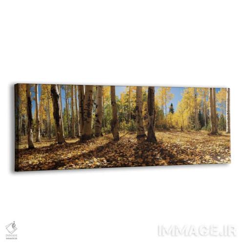 تابلو رنگهای پاییزی در کرستد بیوت، کلرادو - ۱ اثر اولنا آرت (استودیو هنری) - نمای پرسپکتیو محصول