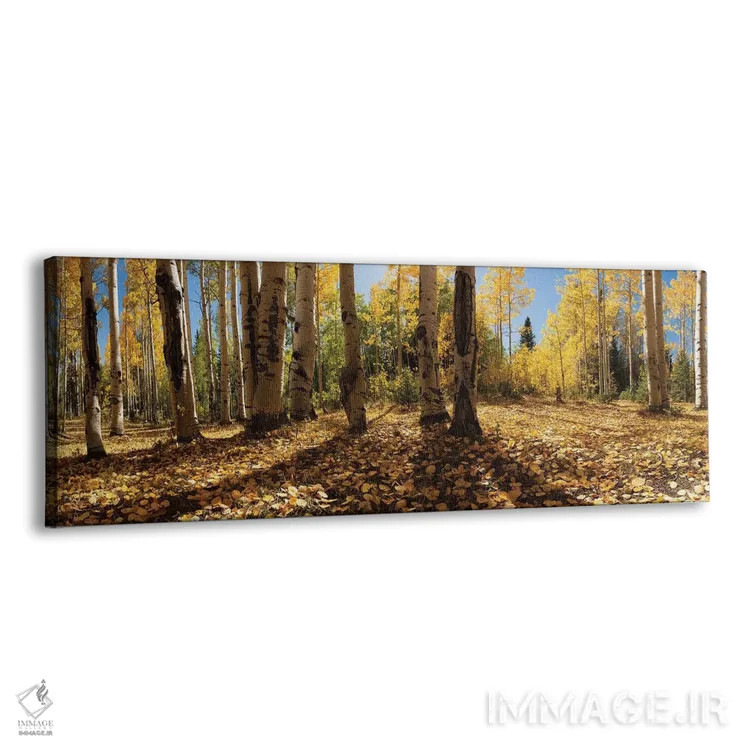 تابلو رنگهای پاییزی در کرستد بیوت، کلرادو - ۱ اثر اولنا آرت (استودیو هنری) - نمای پرسپکتیو محصول