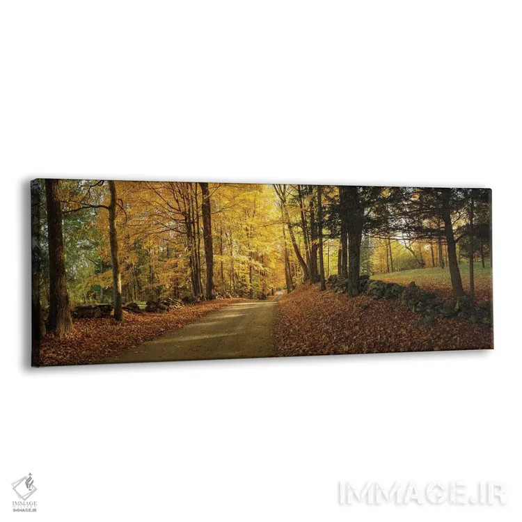 تابلو چمنزار رنگارنگ اثر اولنا آرت (استودیو هنری) - نمای پرسپکتیو محصول