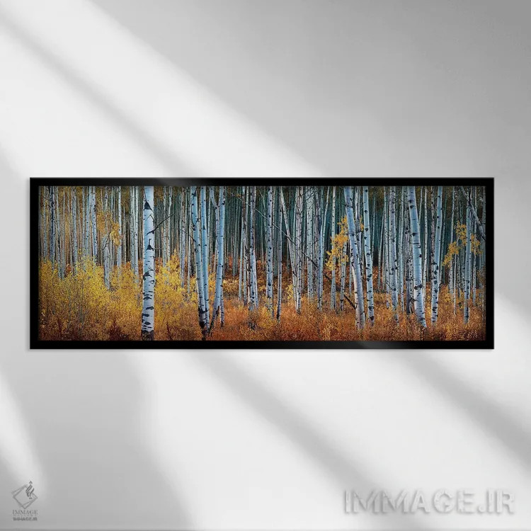 تابلو پانورامای شگفتی پاییزی کلرادو اثر اولنا آرت (استودیو هنری) - نمای قابدار مشکی