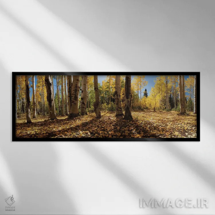 تابلو رنگهای پاییزی در کرستد بیوت، کلرادو - ۱ اثر اولنا آرت (استودیو هنری) - نمای قابدار مشکی