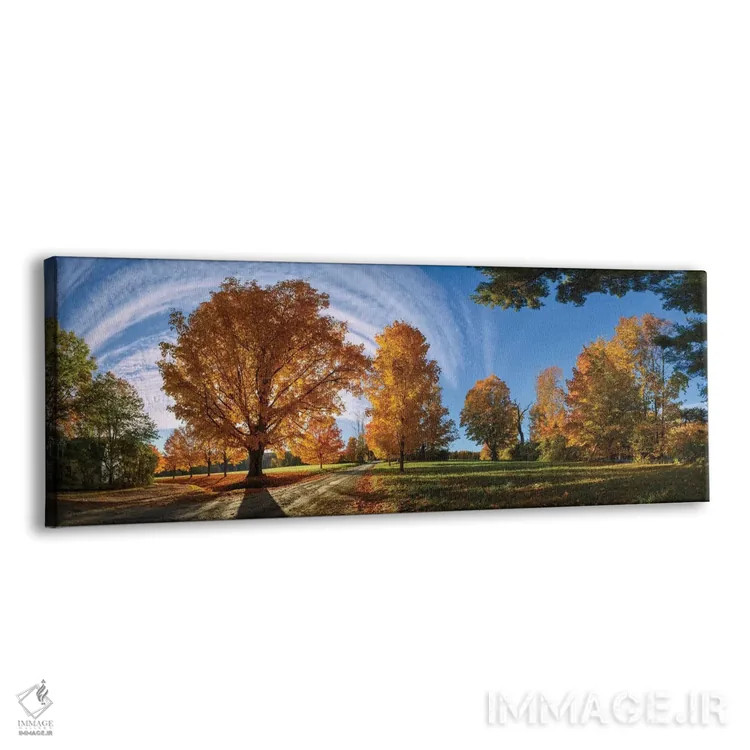 تابلو در جاده روستایی نیوانگلند اثر اولنا آرت (استودیو هنری) - نمای پرسپکتیو محصول