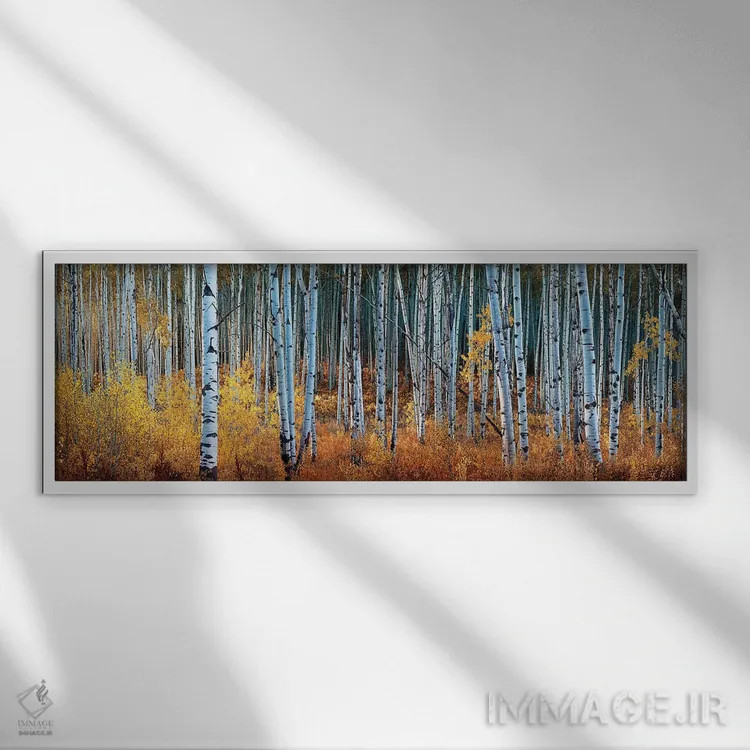 تابلو پانورامای شگفتی پاییزی کلرادو اثر اولنا آرت (استودیو هنری) - نمای قابدار سفید