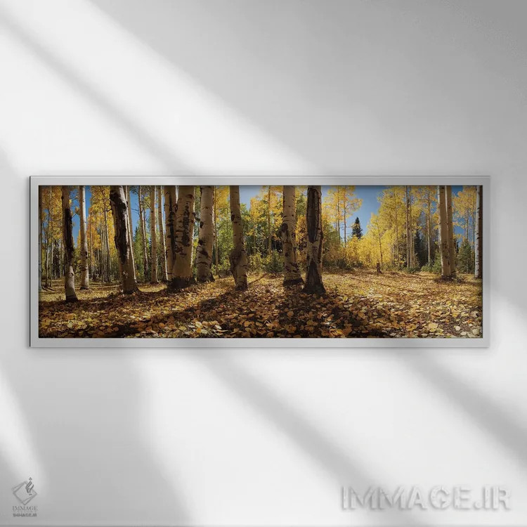 تابلو رنگهای پاییزی در کرستد بیوت، کلرادو - ۱ اثر اولنا آرت (استودیو هنری) - نمای قابدار سفید