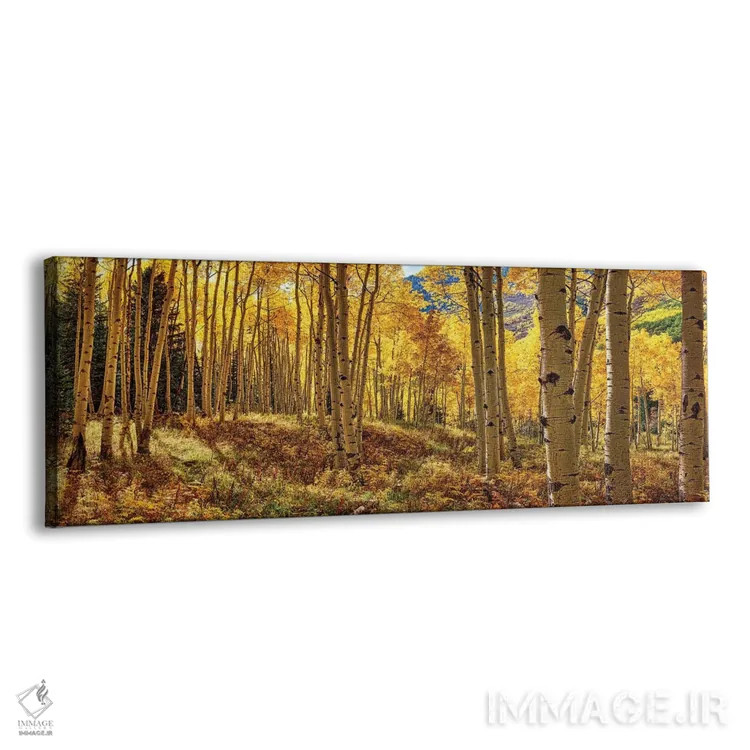 تابلو پانورامای جنگل آسپن پاییزی کلرادو اثر اولنا آرت (استودیو هنری) - نمای پرسپکتیو محصول