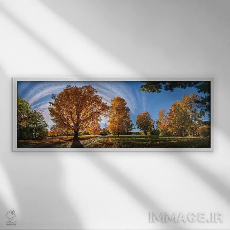 تابلو در جاده روستایی نیوانگلند اثر اولنا آرت (استودیو هنری) - نمای قابدار سفید