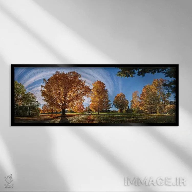 تابلو در جاده روستایی نیوانگلند اثر اولنا آرت (استودیو هنری) - نمای قابدار مشکی