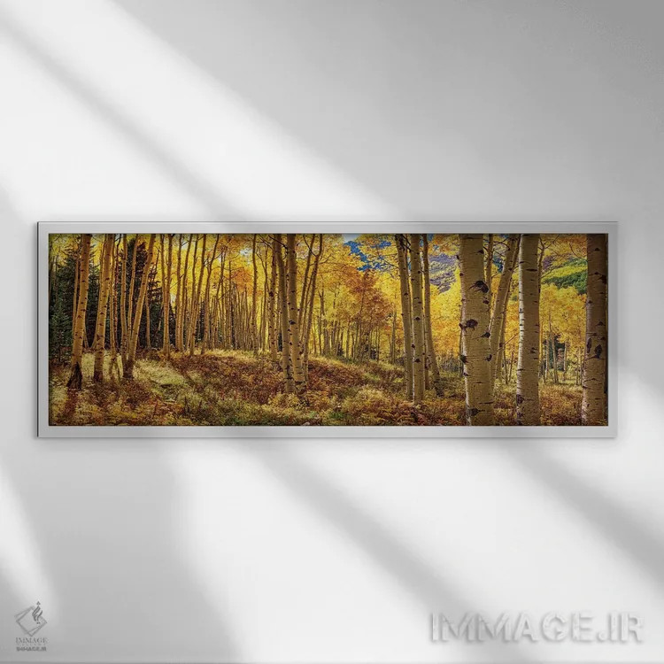 تابلو پانورامای جنگل آسپن پاییزی کلرادو اثر اولنا آرت (استودیو هنری) - نمای قابدار سفید