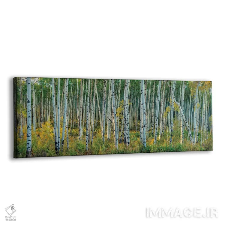 تابلو بیشهی آسپن در حال تغییر با نسیمی ملایم اثر اولنا آرت (استودیو هنری) - نمای پرسپکتیو محصول