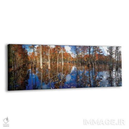 تابلو پانورامای باتلاق سرو در پارک ایالتی جورج ال. اسمیت، جورجیا اثر اولنا آرت (استودیو هنری) - نمای پرسپکتیو محصول
