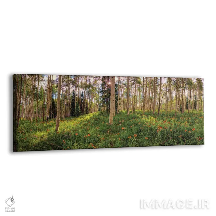 تابلو درختان آسپن بهاری در کرستد بیوت، کلرادو اثر اولنا آرت (استودیو هنری) - نمای پرسپکتیو محصول