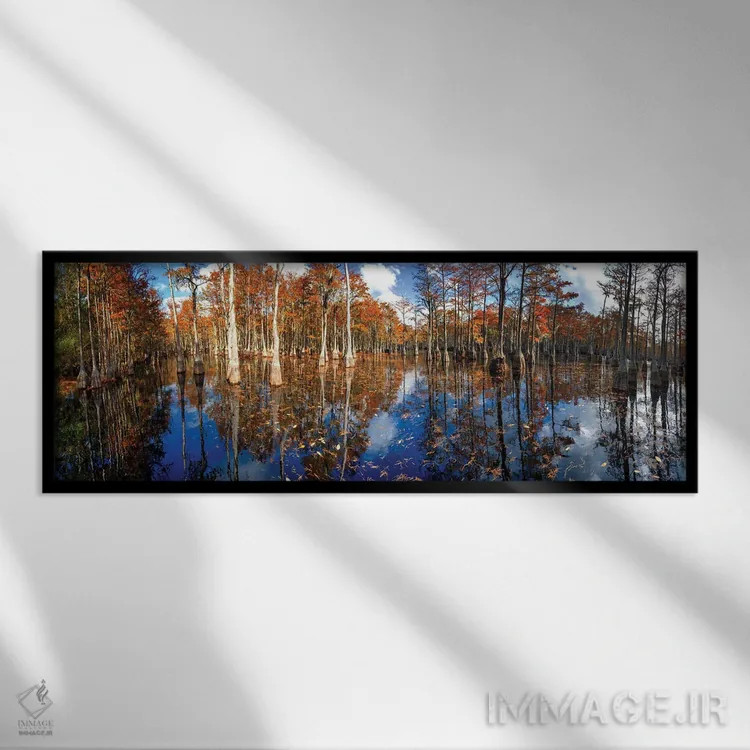 تابلو پانورامای باتلاق سرو در پارک ایالتی جورج ال. اسمیت، جورجیا اثر اولنا آرت (استودیو هنری) - نمای قابدار مشکی