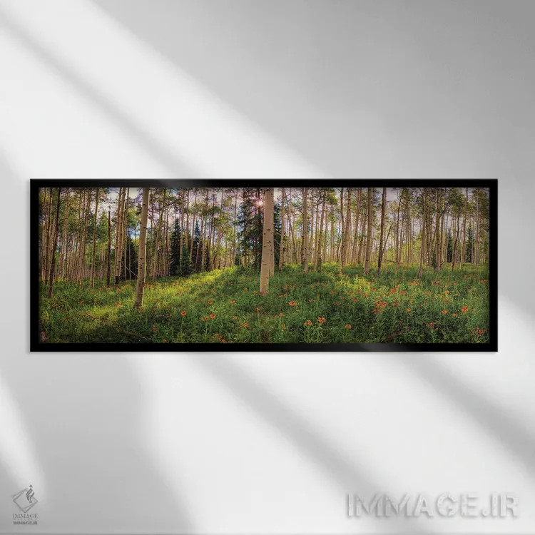 تابلو درختان آسپن بهاری در کرستد بیوت، کلرادو اثر اولنا آرت (استودیو هنری) - نمای قابدار مشکی