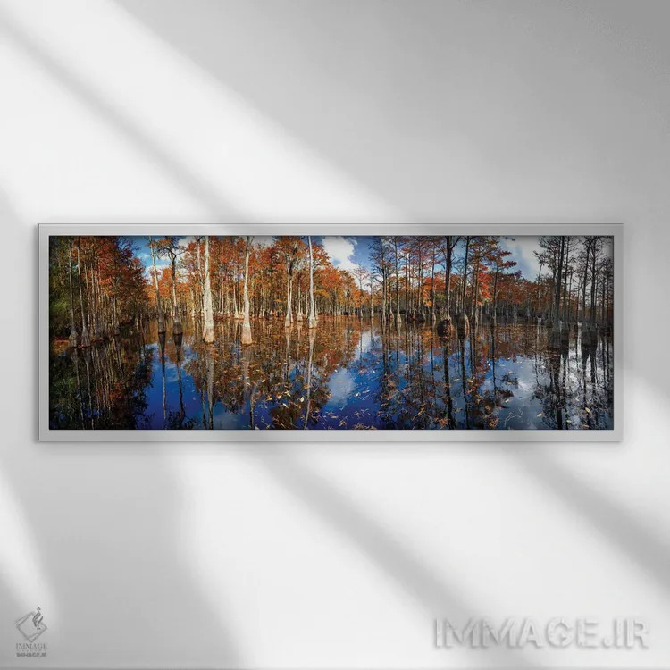 تابلو پانورامای باتلاق سرو در پارک ایالتی جورج ال. اسمیت، جورجیا اثر اولنا آرت (استودیو هنری) - نمای قابدار سفید