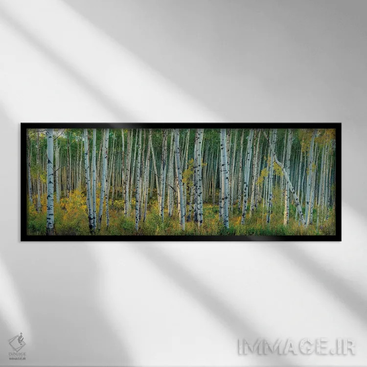 تابلو بیشهی آسپن در حال تغییر با نسیمی ملایم اثر اولنا آرت (استودیو هنری) - نمای قابدار مشکی